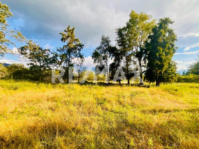 Terreno Propiedad Privada en Venta | Barrio Alto Etla, Oaxaca