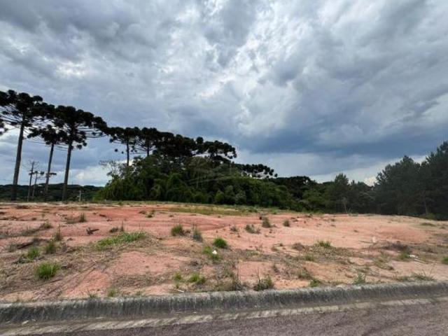 TERRENO QUATRO BARRAS PR