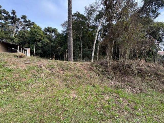 TERRENO QUATRO BARRAS PR
