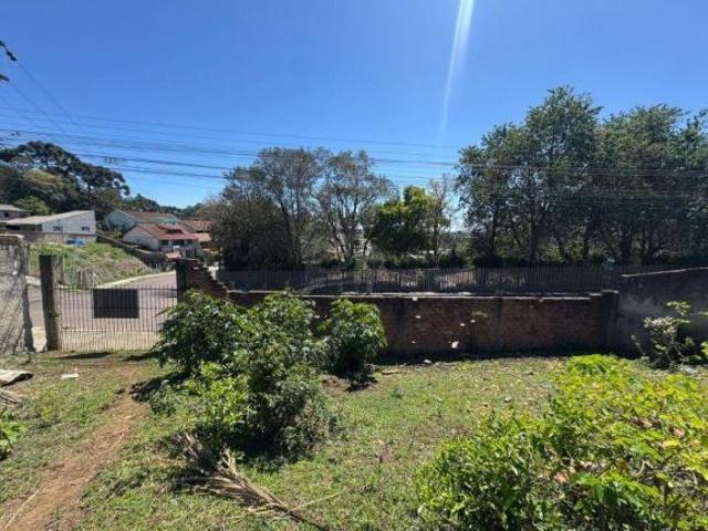TERRENO QUATRO BARRAS PR