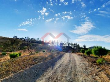 Tôr, Querença Tôr e Benafim, Loulé, Distrito de Faro, Algarve