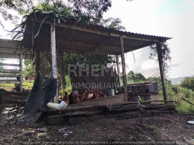 Terreno Quinta 1 hect. en la Ortiga, Coatzintla, Ver