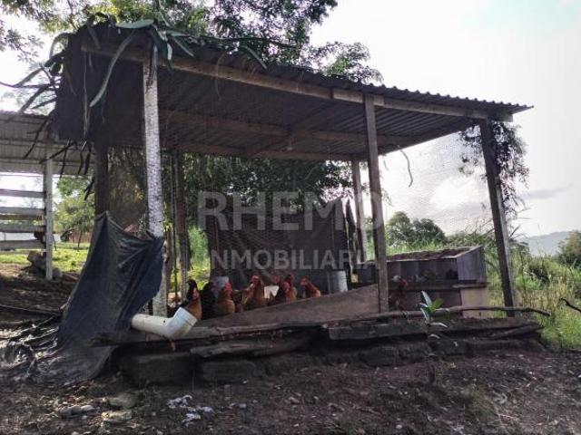 Terreno Quinta 1 hect. en la Ortiga, Coatzintla, Ver