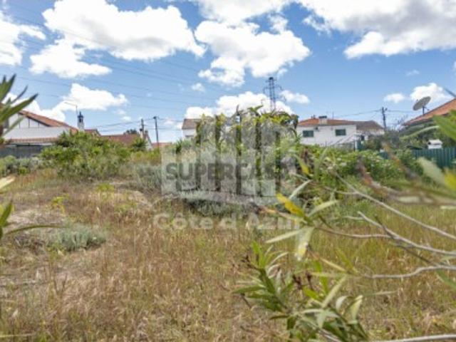 TERRENO QUINTA CONDE