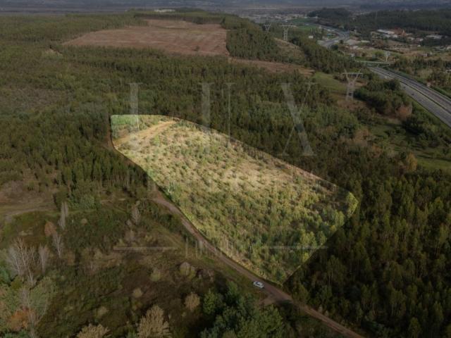 Terreno | Quinta do Acipreste, Antanhol