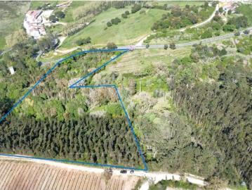 Terreno Rustico na Quinta dos Pinheiros Vidais