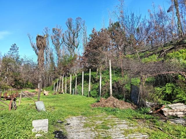 Terreno / Quinta para construção de moradia Angeja