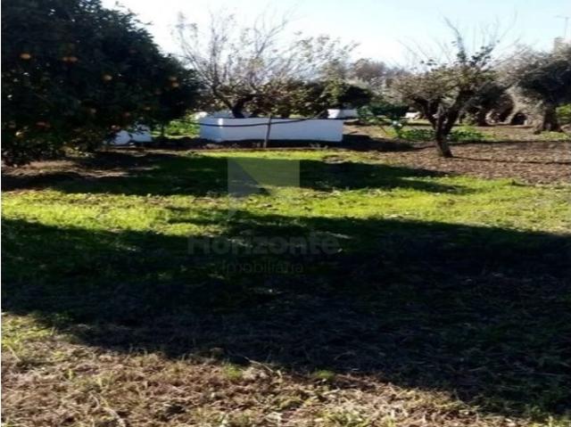 Terreno / Quinta para venda