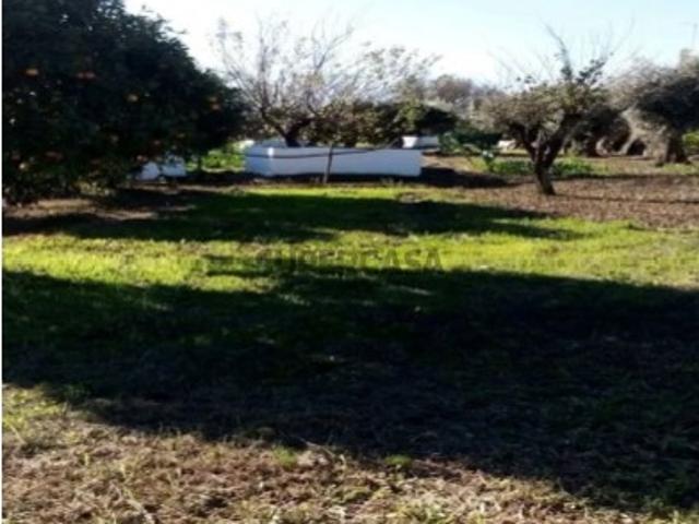 Terreno / Quinta para venda