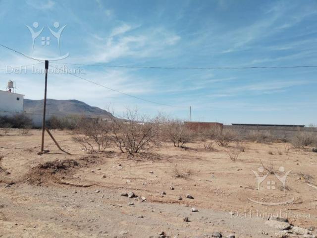 Terreno Quintas Carolinas