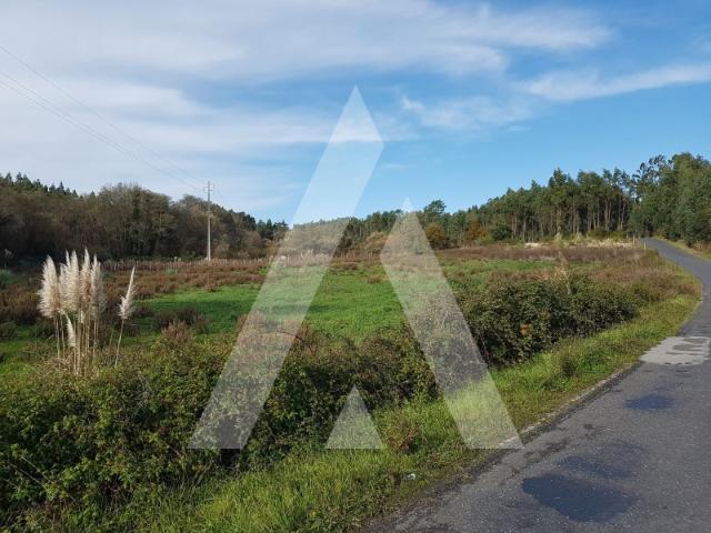 Terreno quintinha Oiã com 15.507 m2