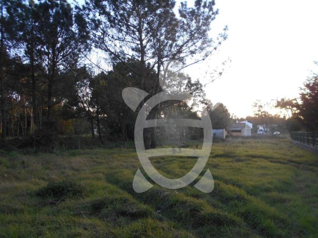 Terreno Quiaios