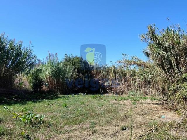 Terreno Rústico/Urbano com Potencial Único Ideal para Projeto Ecológico em Salir do Porto Tornada