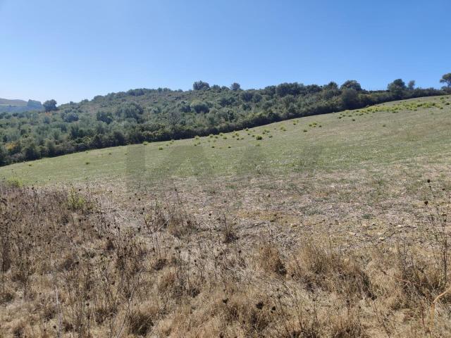 Terreno Rustico 3,4 Hectares