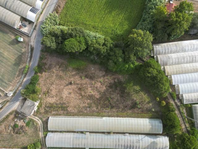 Terreno Rústico 3.750 m² – Rio Alto, Estela Póvoa de Varzim