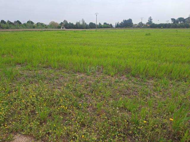 Terreno rustico 5941 m2