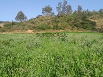 Terreno rústico 10.000m2 em Ribafria