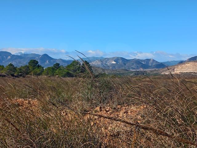 Terreno rustico 11000 m2