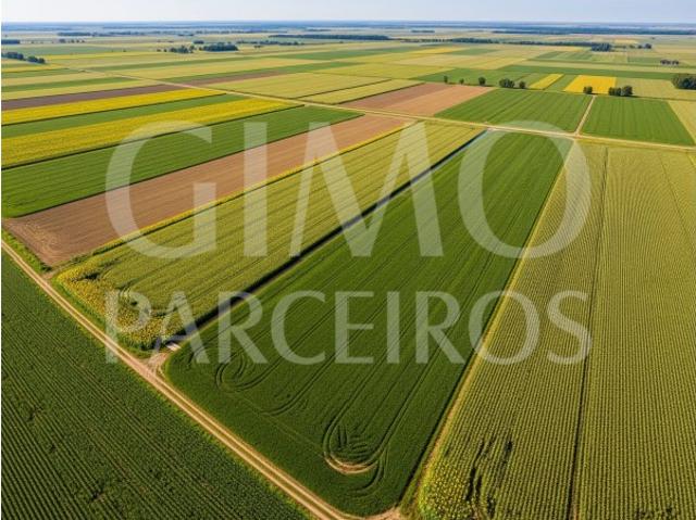 Terreno Rustico