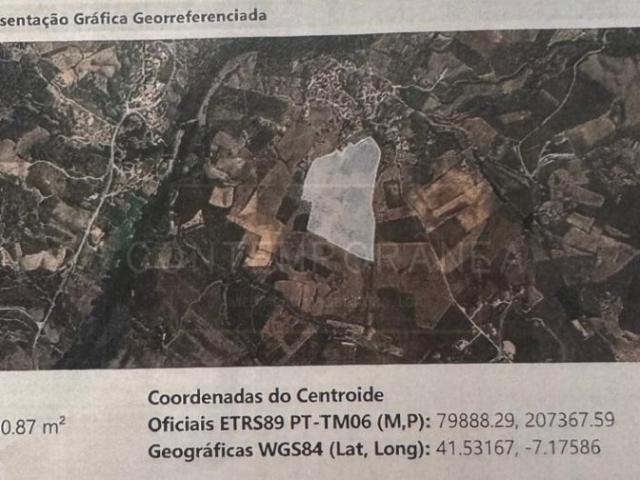 Terreno Rústico 11 ha