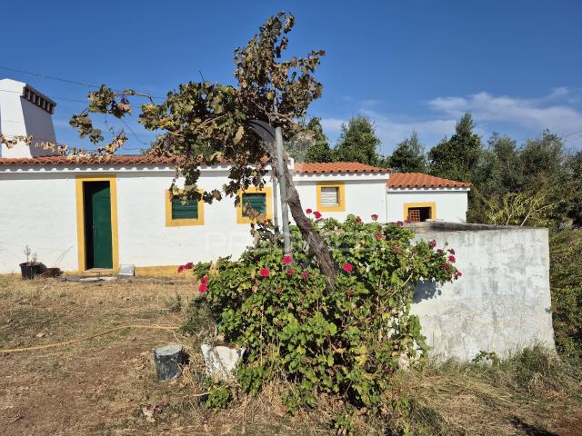 Terreno Rustico