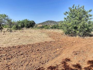 Terreno Rústico 12.000m2 Falfosa, Santa Bárbara de Nexe
