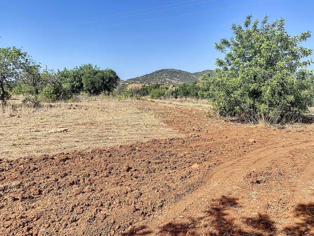 Terreno Rústico 12.000m2 Falfosa, Santa Bárbara de Nexe