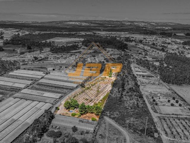 Terreno Rústico