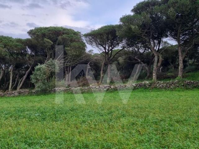 Terreno Rústico 1480m2 para venda em São João das Lampas