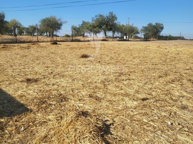 TERRENO RUSTICO