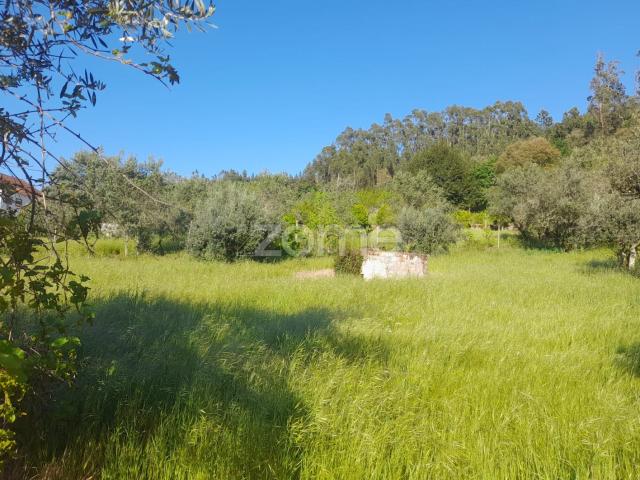 terreno rustico