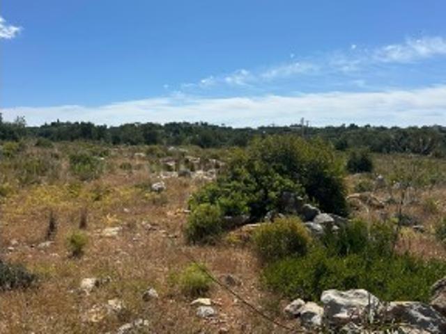 Terreno Rústico 18.329 m2 situado na Alecrineira