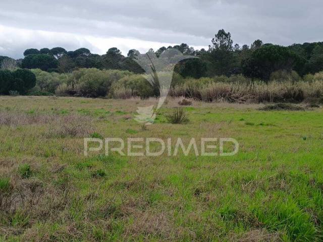 Terreno rustico 1,6 ha junto à Mata de Cabeção– Excelente Oportunidade