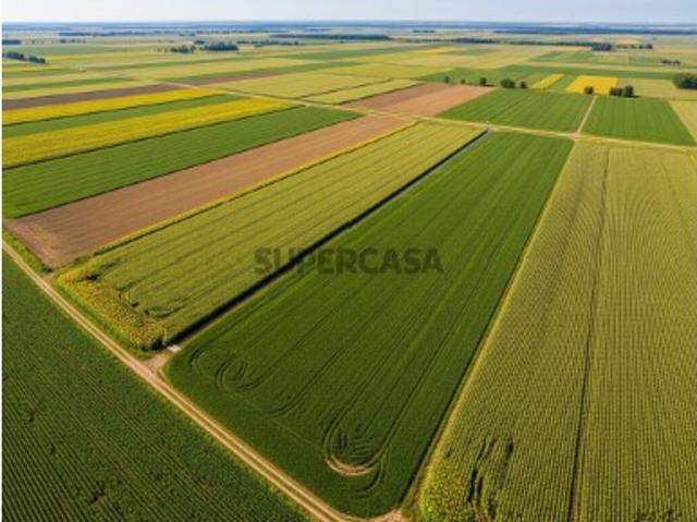 Terreno Rustico