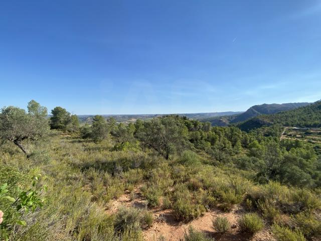 Terreno rustico 254243 m2