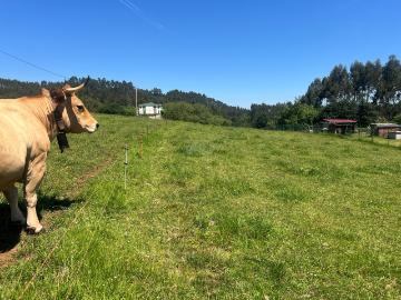 Terreno rustico 2513 m2