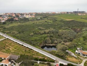 Terreno Rústico 2.7 ha, Santo Isidoro, Mafra