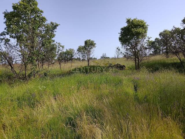 Terreno rustico 2.9ha em Baraçal, Sabugal