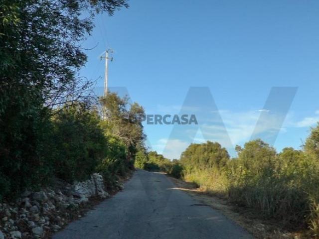 Terreno Rústico 3054m2| São Sebastiao | Loulé