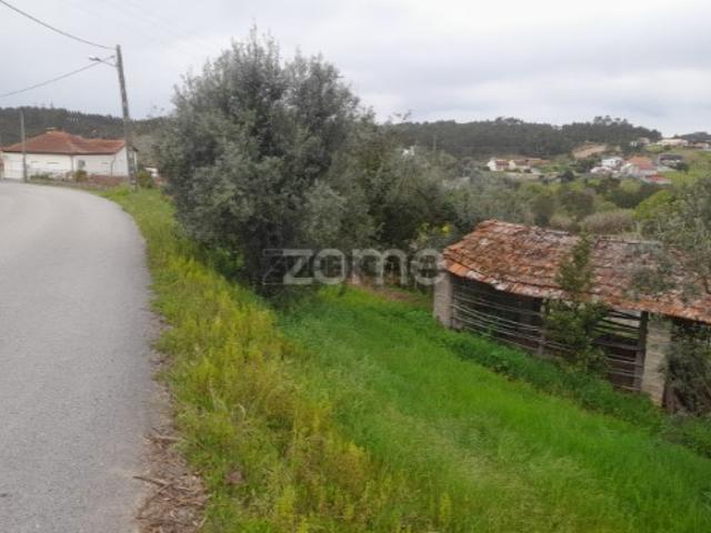 Terreno Rustico
