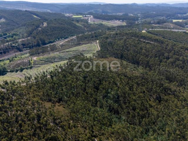 Terreno rústico 35.600m2 Cedões Trofa