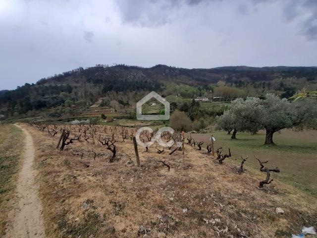 Terreno Rustico