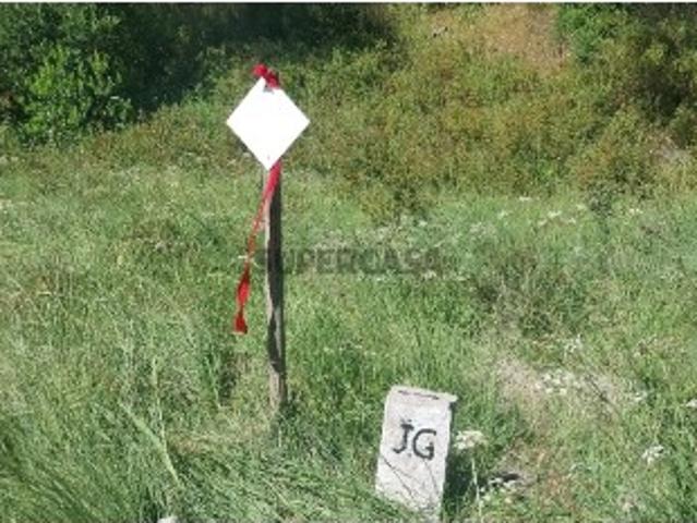TERRENO RÚSTICO 7,725ha