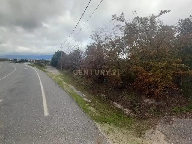 Terreno rustico 4500 m2 Lardosa