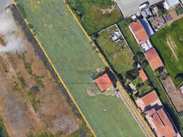 Terreno Rústico 4500m2 vedado