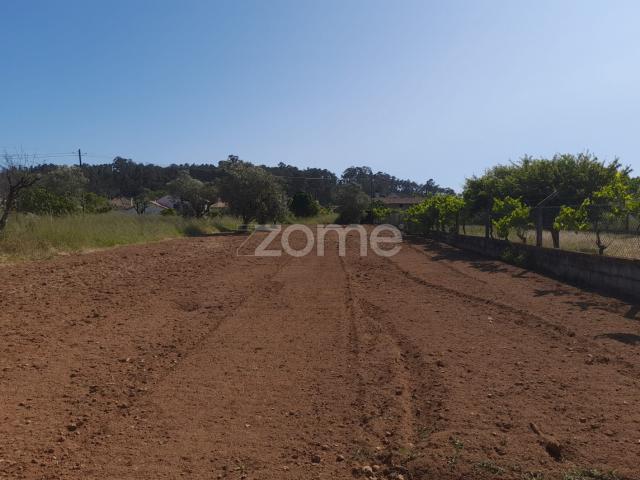 Terreno Rustico