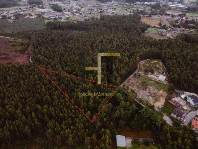 Terreno Rústico | 4.250m² em Gemunde | Oportunidade Única de Investimento e Contato com a Natureza