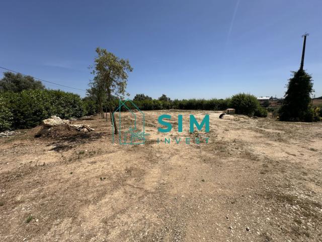 TERRENO RUSTICO