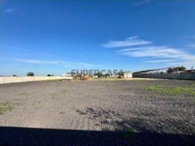 Terreno Rústico 5200m2 Com muro, portão e furo d´água Quinta da Lobateira Fernão Ferro Seixal telefone