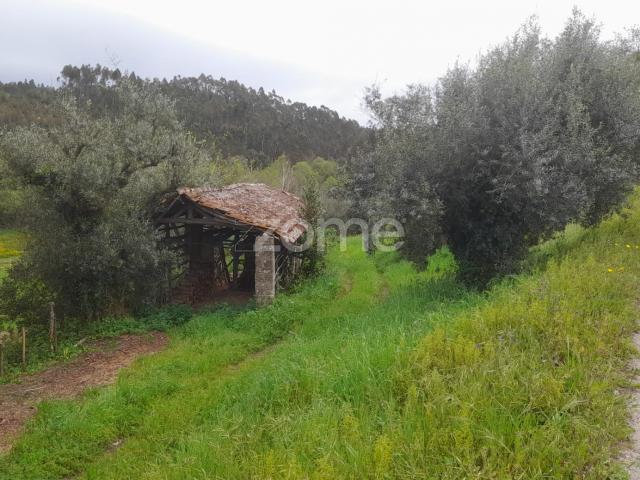 Terreno Rustico